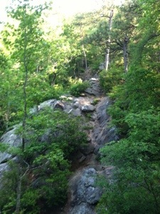 20130615-232738.jpg