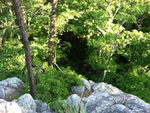 20130615-232810.jpg