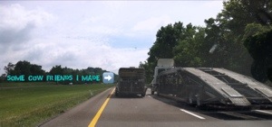 20130629-080033.jpg