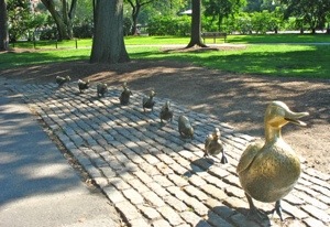 20130828-221549.jpg