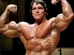 Arnold